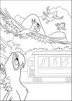 coloriage rio blu regarde perla voler